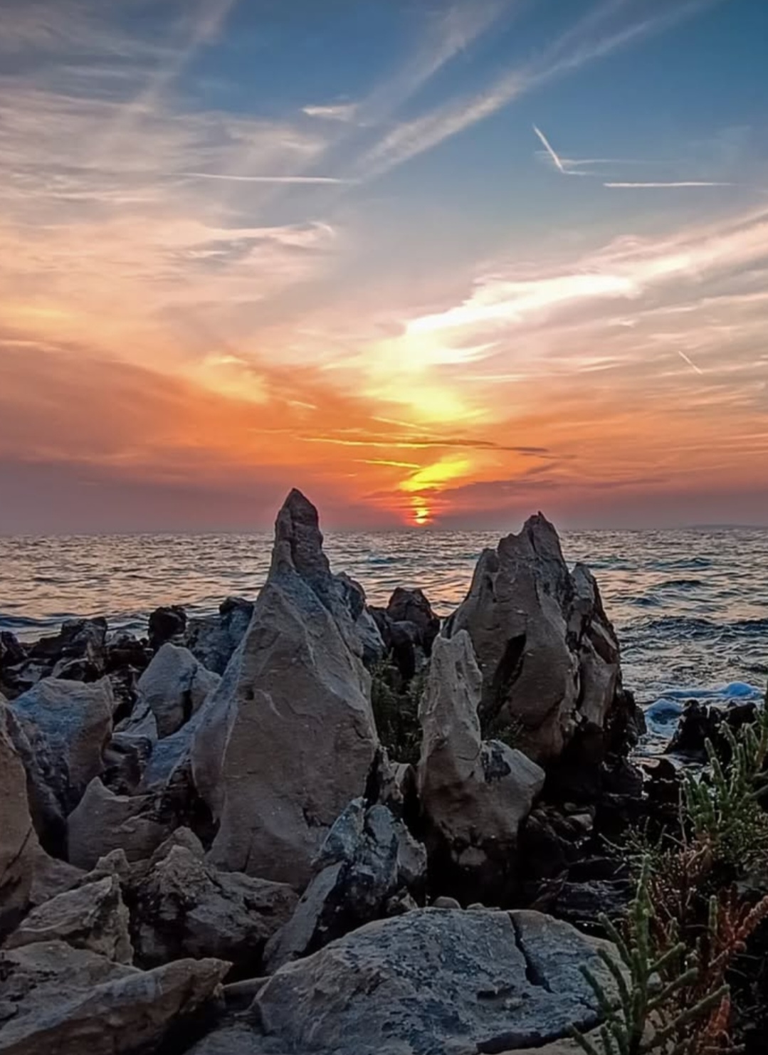Povljana Ornithological Reserve